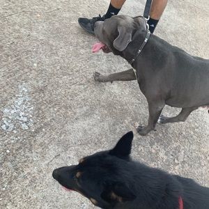 Meet your Posher, Sofia